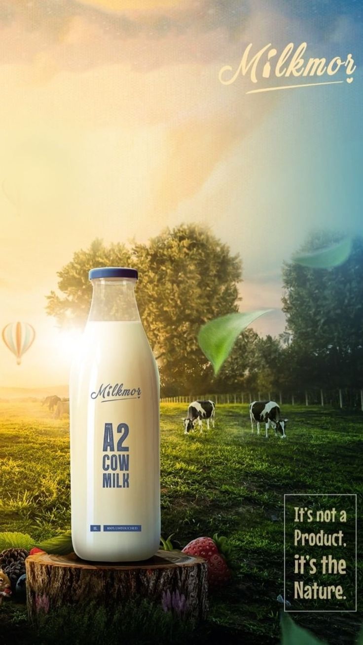 A2 Cow Milk